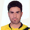 Hossein Hamidi