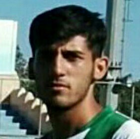 Peyman Heshmati