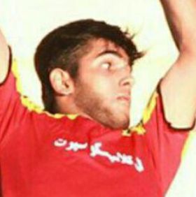 Mohammad Hossein Houpanah