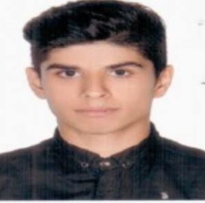 Amir Hossein Taleb Nejad