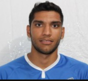 Amir Hesam Hamrah