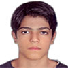 Hamed Mansoor Abadi