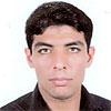 Meysam Amiri