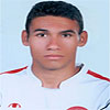 Mohammad Mehdi Elhaei