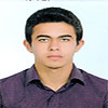 Saeed Amraei